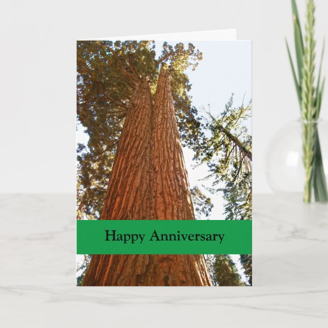 Carte Couple Sequoia Trees, Happy Anniversary (Devant)