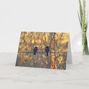 Carte Couples romantiques d'oiseau de moineau,