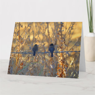 Carte Couples romantiques d'oiseau de moineau, grande