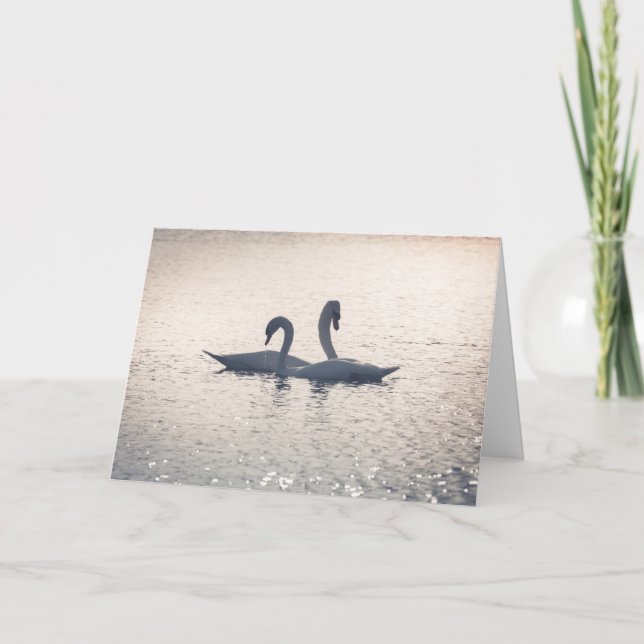 Carte Courage Swans Nature Photo (Devant)