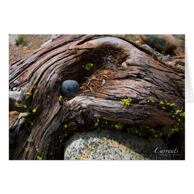 Carte Courants (Devant Horizontal)