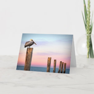 Carte Courriers et une plage du pélican   Fort Myers, la
