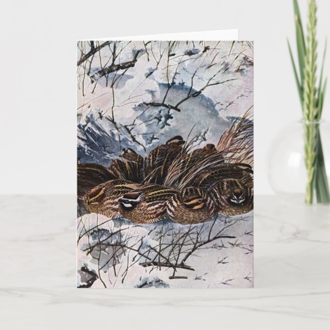 Carte Covey des cailles (Devant)