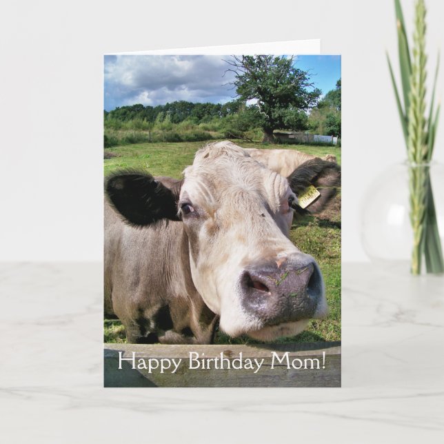 Carte COW Cute (Devant)