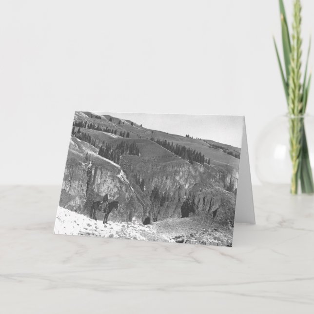 Carte Cowboy séparé de son troupeau (Devant)