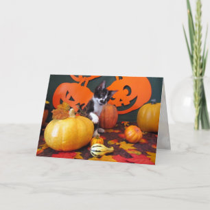 Carte Cowboy's Halloween Party - Chat / Kitten Card