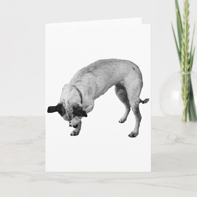 Carte Coy Paw, Warm Wishes (Devant)