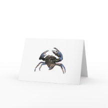 Crabe de boue ou crabe de mangrove (Scylla serrata