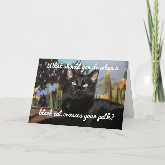 Carte Crainte des chats noirs (Devant)
