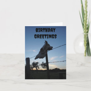 Carte crâne de vache noire