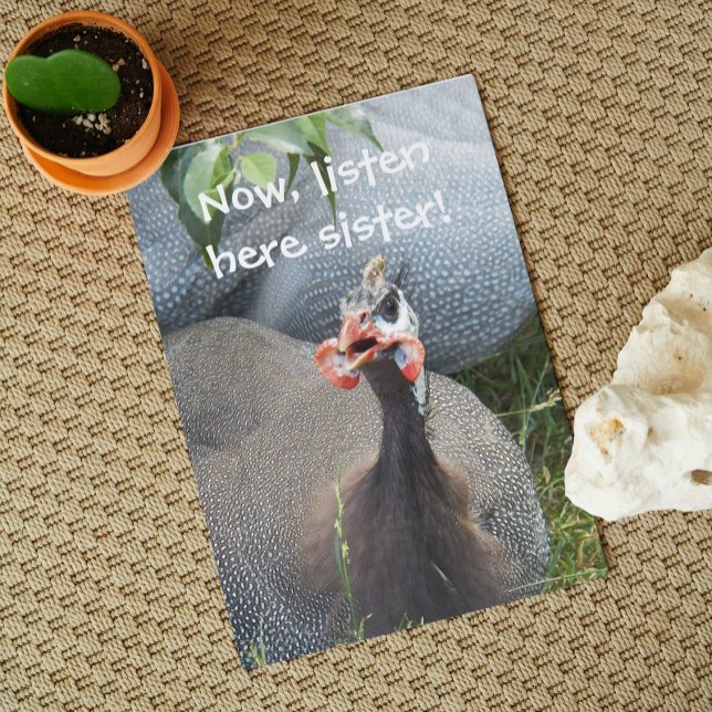 Carte Cranky Guinea Fowl'anniversaire amusant (In Situ)