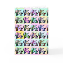 Crash de Rhinos Pop Art