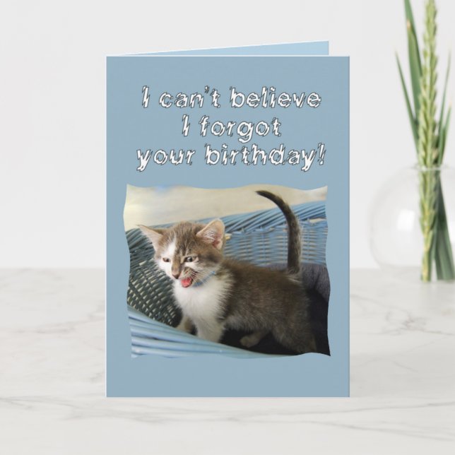 Carte Crazy Kitten Anniversaire (Devant)