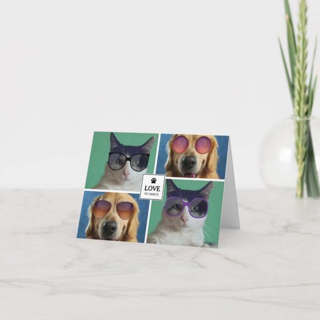 Carte Créez votre propre collection photo de 4 animaux d (Devant)