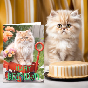 Carte Crème et gingembre Tabby Chat en Wagon rouge Anniv