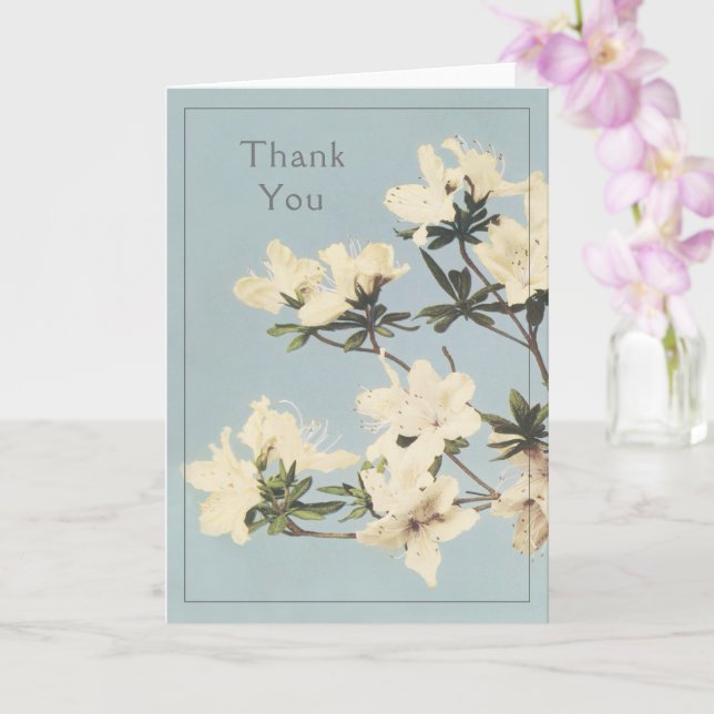 Carte Crème Merci de fleurs Azalea (Orchidée)