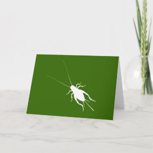 Carte Cricket blanc