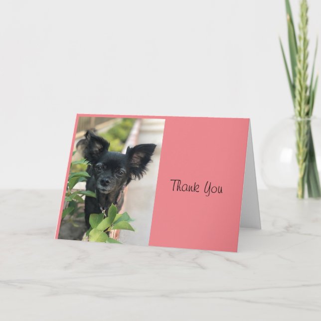 Carte Critère Sitter LV LAGUNA (Devant)