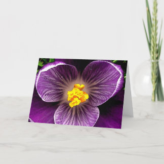 CARTE CROCUS DE POURPRE DE TGK