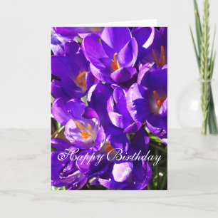 CARTE CROCUS DE PRINTEMPS