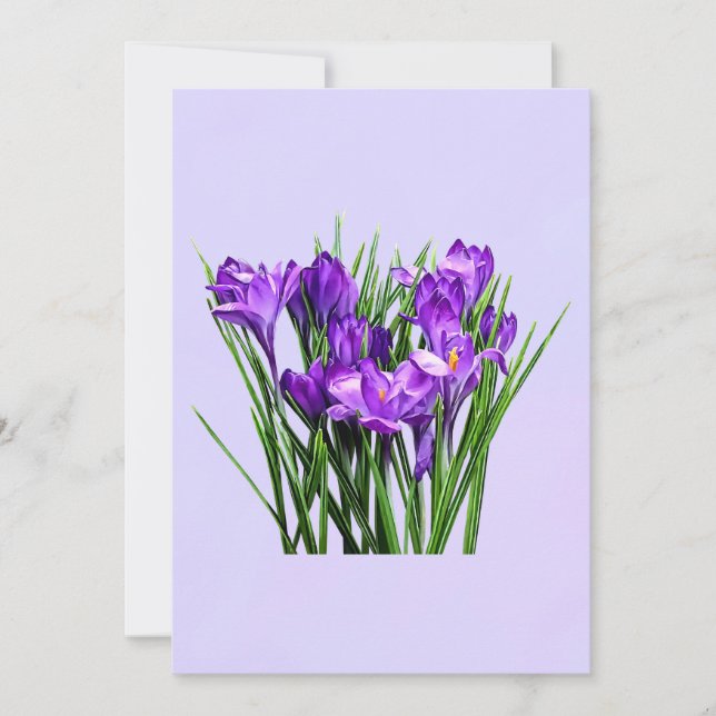 Carte Crocus pourpres (Devant)