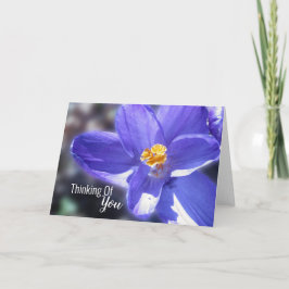 Carte Crocus Purple Penser À Vous