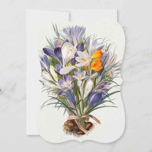 Carte Crocus Spring Flower Botanique Floral Art (Devant)