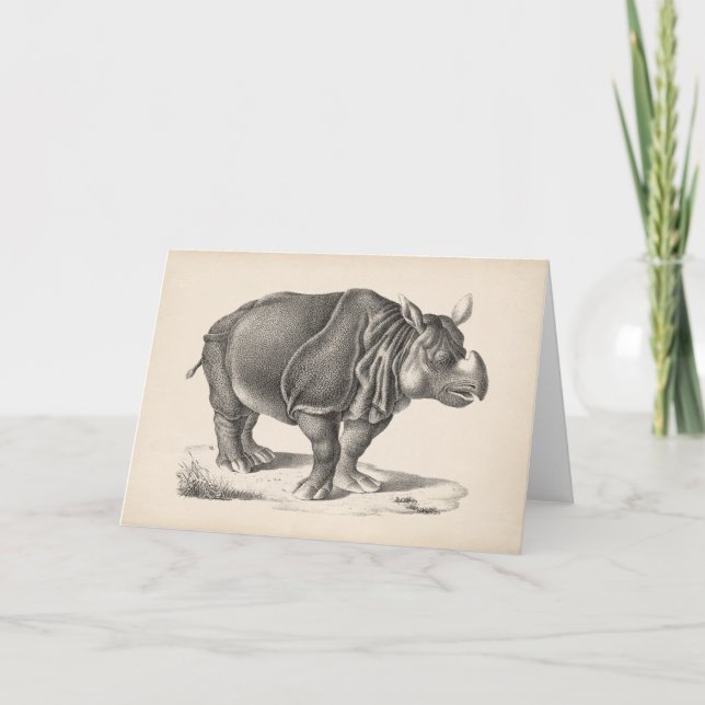 Carte Croquis Brodtmann Rhinoceros (Devant)