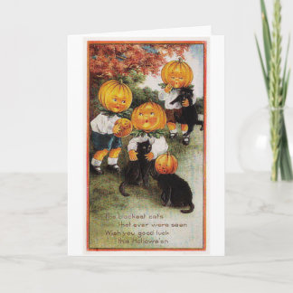 Carte Cru Halloween de citrouilles et de chats
