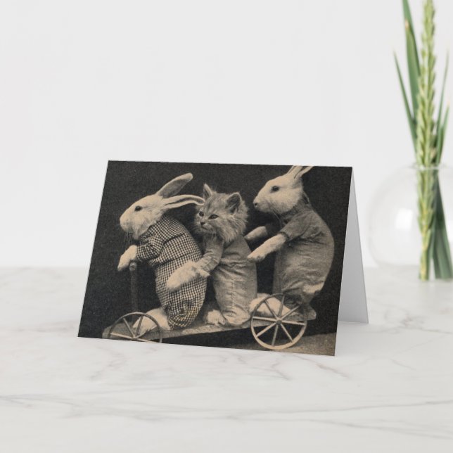 Carte Cru - lapins et chaton, (Devant)