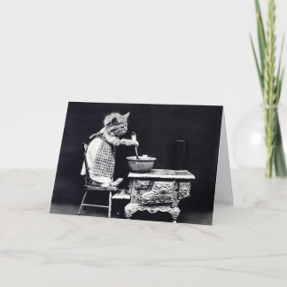 Carte Cuisine Miss Kitten