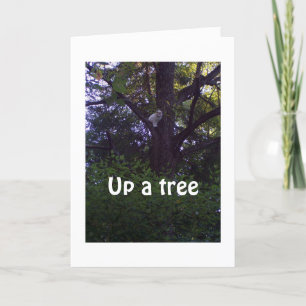 CARTE CUISINEZ UN ARBRE SOUHAITE QUE VOUS N'AYEZ PAS UN