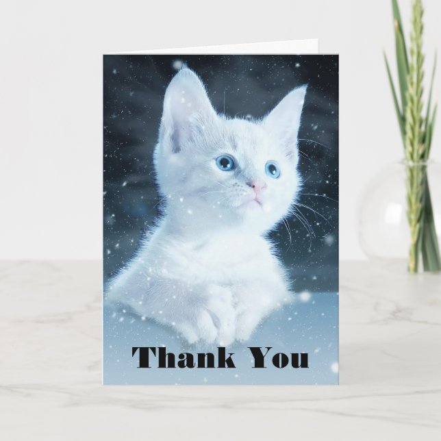 Carte Cuite Kitten blanc avec Joli Merci d'yeux bleu (Devant)