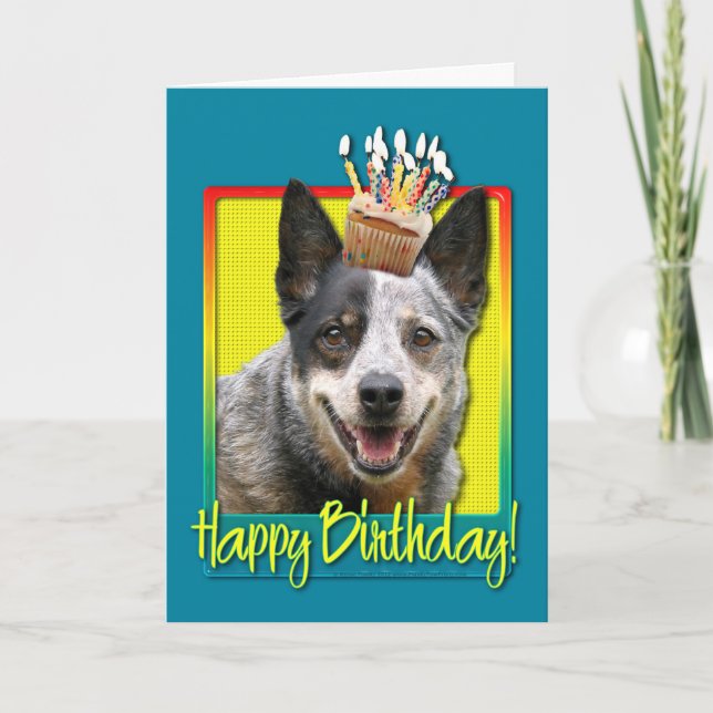 Carte Cupcake d'anniversaire - Chien de bétail australie (Devant)