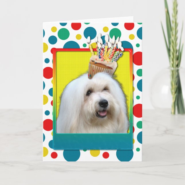 Carte Cupcake d'anniversaire - Coton de Tulear (Devant)