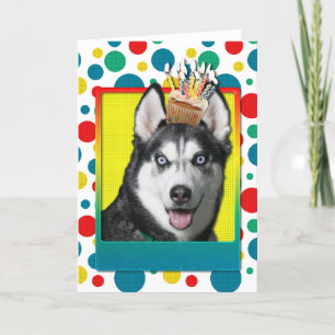 Carte Cupcake d'anniversaire - Husky de Sibérie