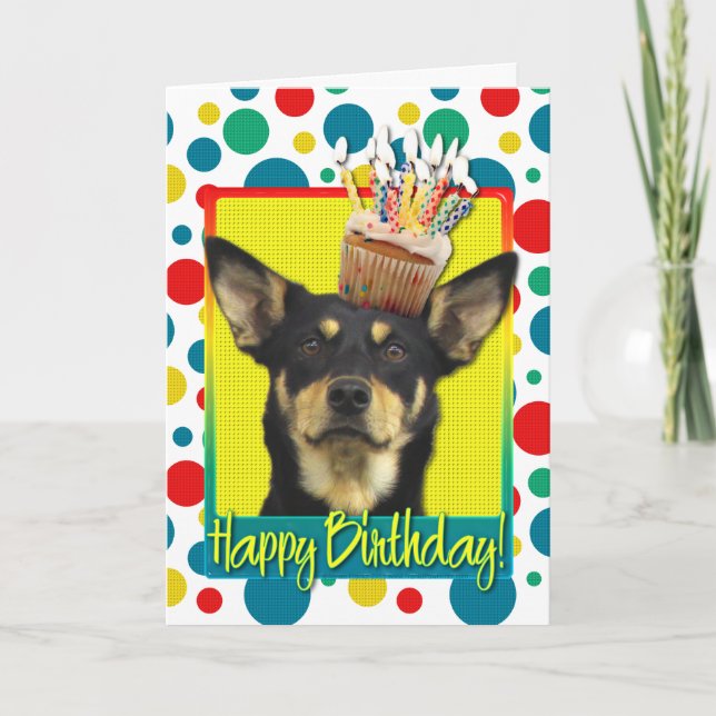 Carte Cupcake d'anniversaire - Kelpie australienne - Jud (Devant)