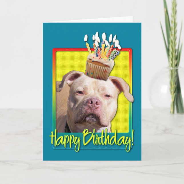 Carte Cupcake d'anniversaire - Pitbull - Jersey Girl (Devant)