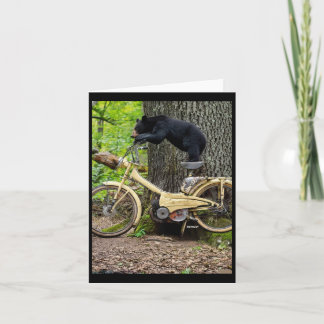 Carte Curieux Cub The Forgotten Ride - Depace' Sticker