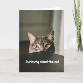 Carte Curiosité Tua Le Chat