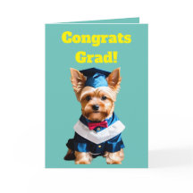 Curte Yorkshire Terrier Graduation