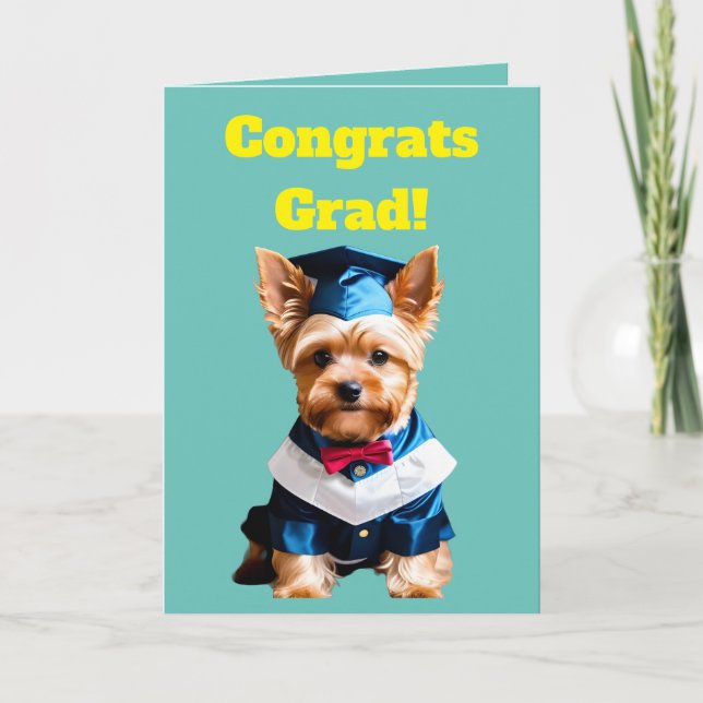 Carte Curte Yorkshire Terrier Graduation (Devant)