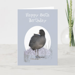 Carte Custom 80th Birthday "Old Coot" Funny Bird Humor