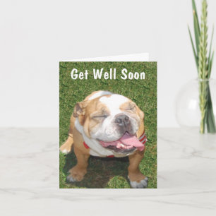 Carte Customizable Bull Dog Get Well Card