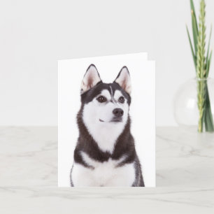 Carte Cute Amoureux des chiens chiot Siberian Husky Bonj