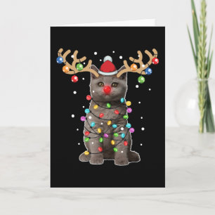 Carte Cute britannique Shorthair Chat Funny Noël