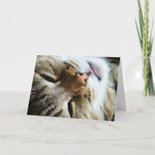 Carte Cute Cat Bonjour Comment êtes-vous amusant Salutat