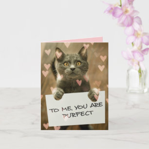 Carte Cute Chat & Coeurs Vous êtes Purfect