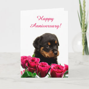 Carte Cute chiot Rottweiler Rose Anniversaire
