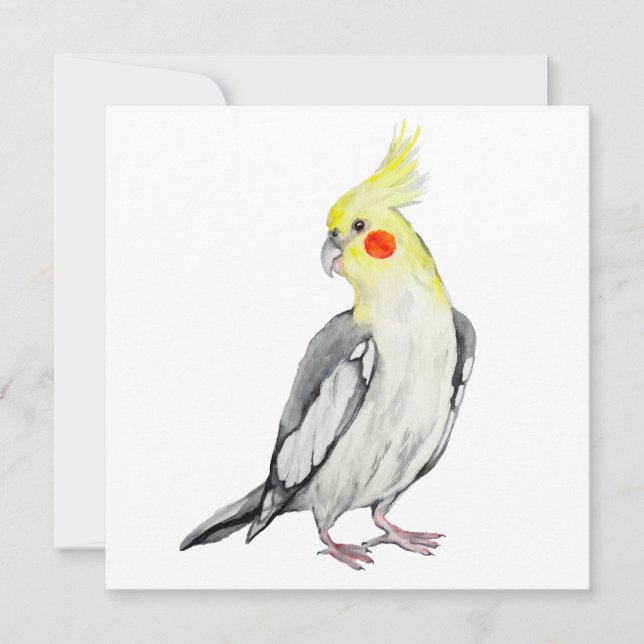 Carte Cute Cockatiel Aquarelle Parrot. (Devant)
